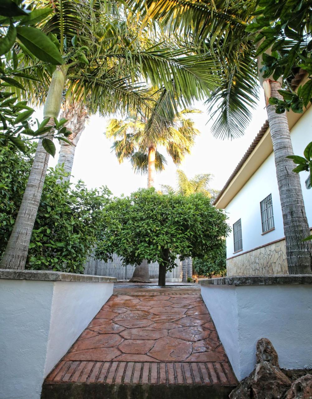 Alhaurín el Grande Casa Rural Tipica Andaluza, Wifi,Piscina, Barbacoa, Aire Acondicionado, 5Min Centros المظهر الخارجي الصورة