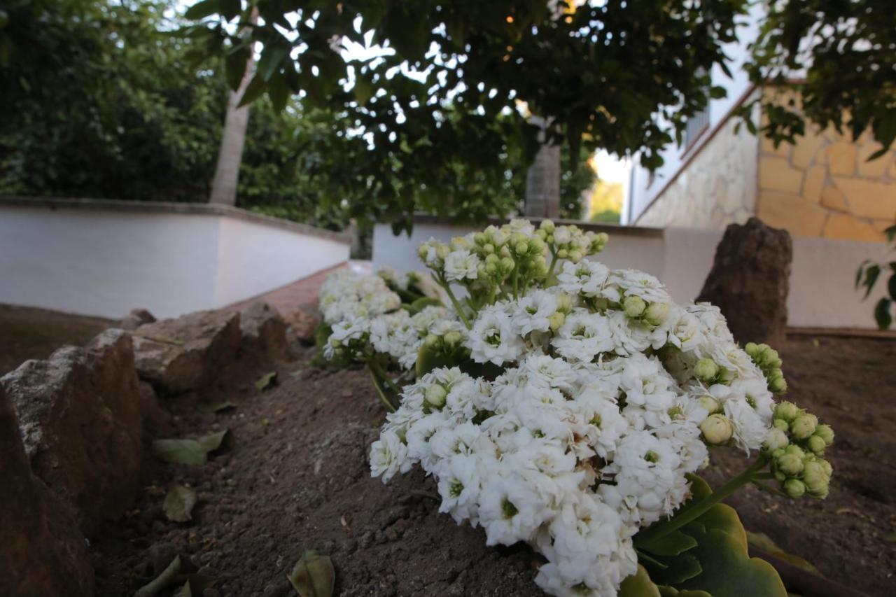 Alhaurín el Grande Casa Rural Tipica Andaluza, Wifi,Piscina, Barbacoa, Aire Acondicionado, 5Min Centros المظهر الخارجي الصورة