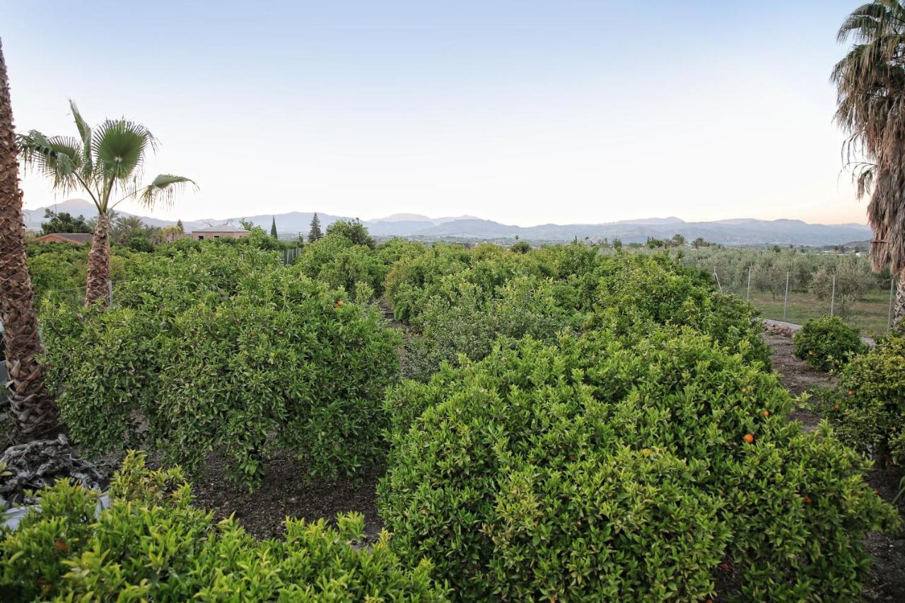 Alhaurín el Grande Casa Rural Tipica Andaluza, Wifi,Piscina, Barbacoa, Aire Acondicionado, 5Min Centros المظهر الخارجي الصورة